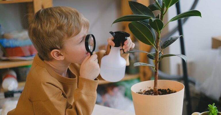 7 Tips for Exploring Aquaponics for Home Gardening That Support Daily Life