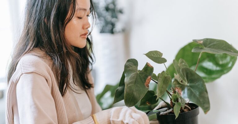 7 Practical Strategies for Low-Water Gardening Without Breaking the Bank